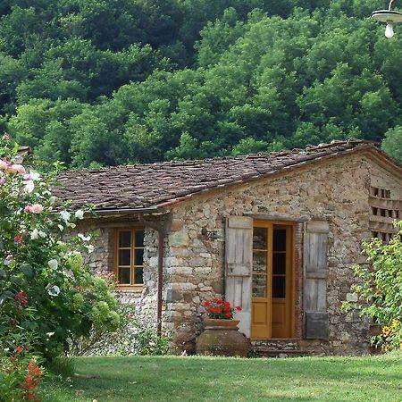 Villa Bottino By Salogi Villas San Martino in Freddana Luaran gambar